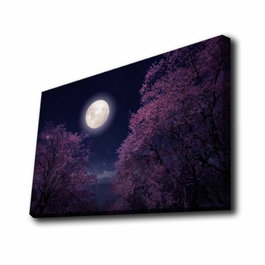 Wallity Lienzo Decorativo Iluminado con LED Multicolor 45x70 cm